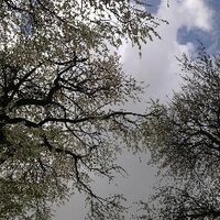 Murat Tamer Aka (@murattameraka) Twitter profile photo