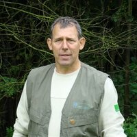 André Wels (@boswachteracj) 's Twitter Profile Photo André Wels (@boswachteracj) 's Twitter Profile Photo