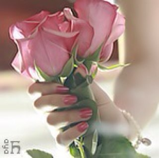 alshekh22's profile picture. 