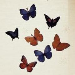 AllamandaJingga's profile picture. If PLAN A Didn't Work...The Alphabet has 25 more letters.! :)