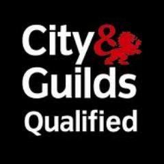 Fully Qualified Electrician