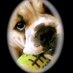 frm (@riquelmefran78) Twitter profile photo