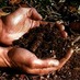 Gardening Guru (@gardeningguru33) Twitter profile photo Gardening Guru (@gardeningguru33) Twitter profile photo