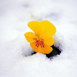 恋愛って人それぞれ価値観が違うので難しい．．．．．。