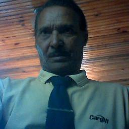 gatinhomoreno39@live.com