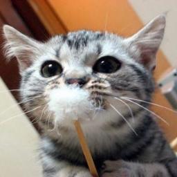 kuukuukuu205's profile picture. 新潟出身のくうです♪みなさんよろしくお願いします。フォローもらえれば、必ずフォバします！一緒に友達をたくさん増やしましょうね♪ツイッターの師匠に色々と習ってます♪今はネットビジネスが本当に楽しいです！  #sougofollow #folloeme