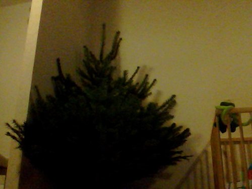 BethinkaBonnink's profile picture. 