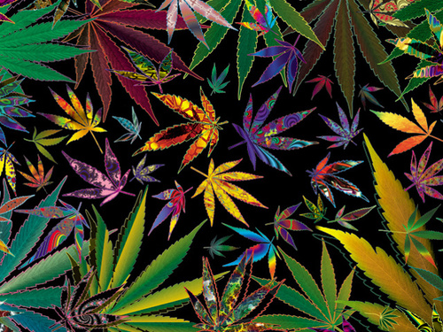 Live, love, laugh and smoke a joint ツ