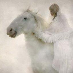 ~ In a World that Moves so Quickly, I endeavor to Offer a Place to Experience a brief Respite, in your Daily Round.