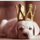 darlene keith - @darlenekeith12 - Twitter