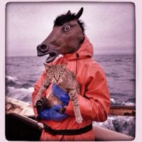 hokuto™ (@tilooloo) 's Twitter Profile