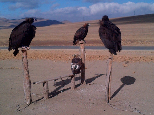 truecomingsoon's profile picture. 