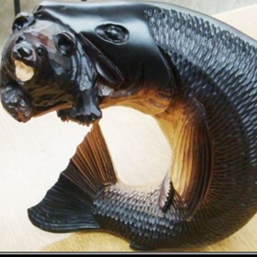 Vertreibung's profile picture.