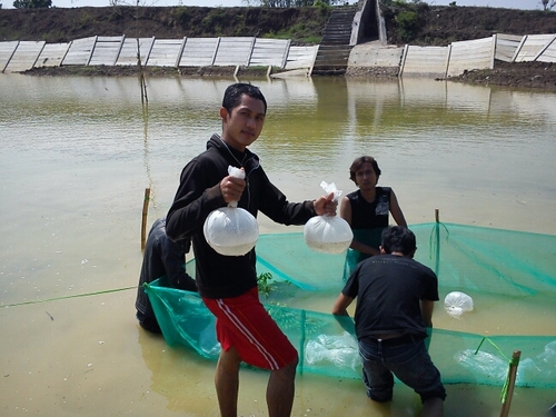 Bissmillah slamet nduyo akhirat