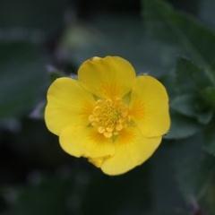 shizukanaasa's profile picture. エコキュート低周波音被害者〜静かな朝を取り戻す〜 ある日突然、隣家オール電化(エコキュート)による健康被害にあい、その後ずっと慢性睡眠不足に陥ってます。毎日ふらふら、でも何とか生きてます。被害の実態を当事者の視点でつぶやき(ほぼ愚痴）ます。