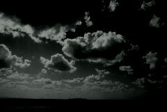 redthread69's profile picture. 成人済30↑/基本が腐ってるのでジャンル混ざり気味でいいねしています/