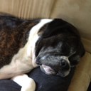 Seth Burrows - @markmywords87 - Twitter