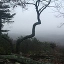 Peggy Ann  - @102PAL - Twitter