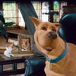 ScoobyTim_S's profile picture. 