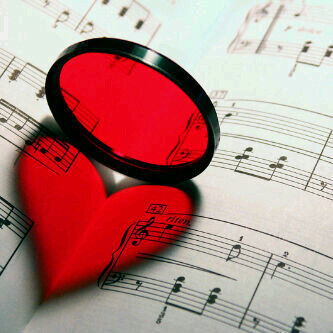 Amoory20131's profile picture. 