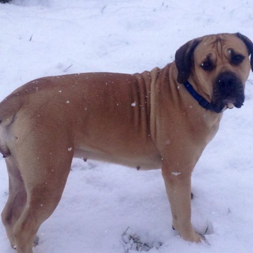 angryjohnnyb's profile picture. 