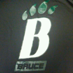 Bruce Middle School (Bearcats) Athletics/Physical Education Twitter account. #BMSathletics



GO BEARCATS!