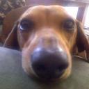 Sylvia Meyers - @sylv889 - Twitter