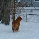 Kari Landis - @kslandis - Twitter