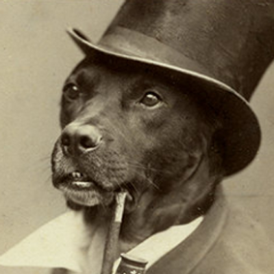 Old Money Dog Original Old Money Dog Original