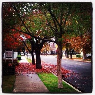 photothisworld's profile picture. 