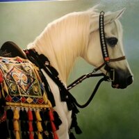 هِند الذرمان (@hindfd) Twitter profile photo