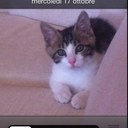 daniel longoni - @griso3792 - Twitter