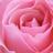 BellayBien's profile image