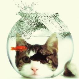 photo_creativit's profile picture. Photoshop Tips & Tricks , creative photoshop pictures , photoshop tutorials .