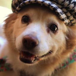 ButterBytes's profile picture. 