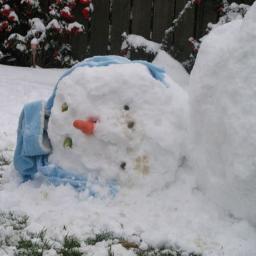 freeze!