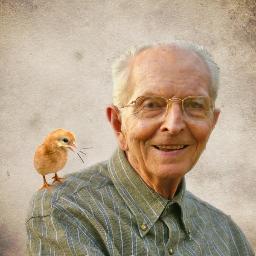 JulioPanaro's profile picture. Me lo contó un pajarito...