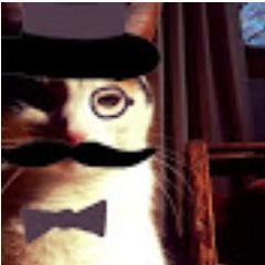 EmberstepTC29's profile picture. I love cats! Especially my cat Sasha!Also, I'm a HUGE fan of Smosh & the Warriors books by Erin Hunter!