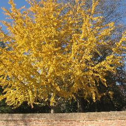 TH46540953's profile picture. 