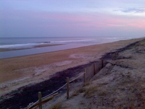 kast1982's profile picture. I'm a X-ray tech love the outdoors, country music, football, baseball. I also love to work in my garden,travel and read