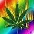 daniel edgar chura (@13Chura) Twitter