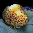 dRn6igR5Rs's profile picture. When I offered him one