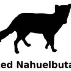 CIN_Nahuelbuta's profile picture. La Red es un grupo de organizaciones público-privadas comprometidas a generar acciones para la conservación de la Cordillera de Nahuelbuta.