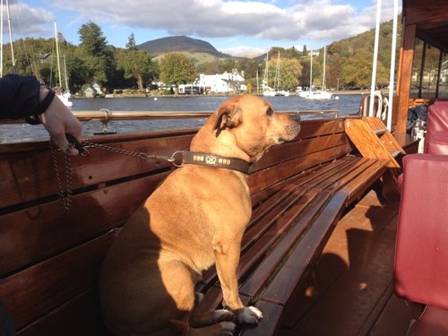 janet_gorse's profile picture. 