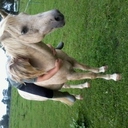 gemma moss x - @gemmamoss19 - Twitter