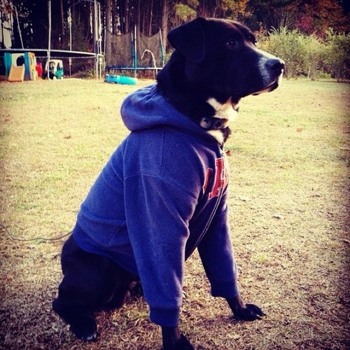 lildannyboy2's profile picture. 