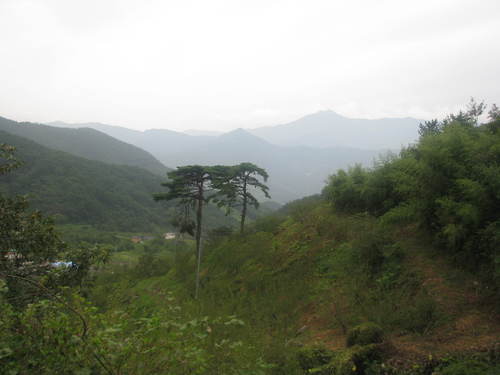 만수산 드렁칡처럼