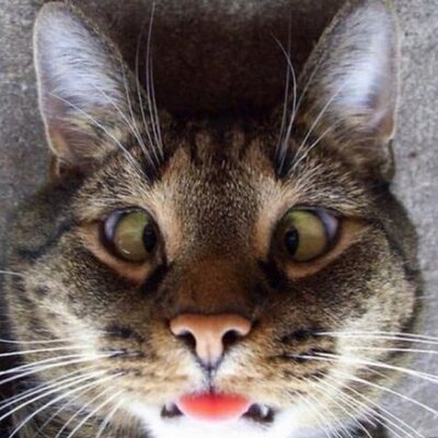 Profile Picture of Clyma (@MarkHampson5) on Twitter