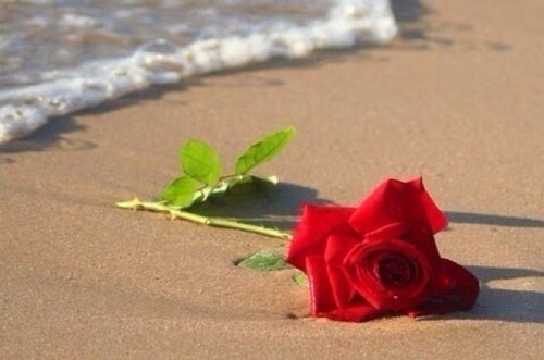 skon111's profile picture. هلا فيكم