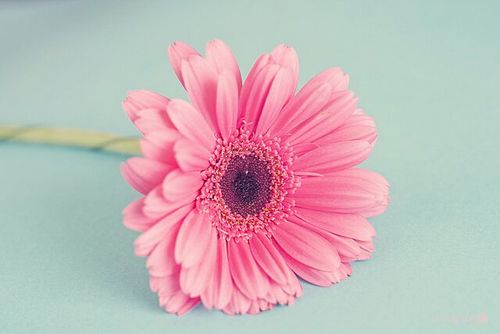 Disfrutad de ese día, nosotros nos ocuparemos de todo. Organizamos bodas y eventos.